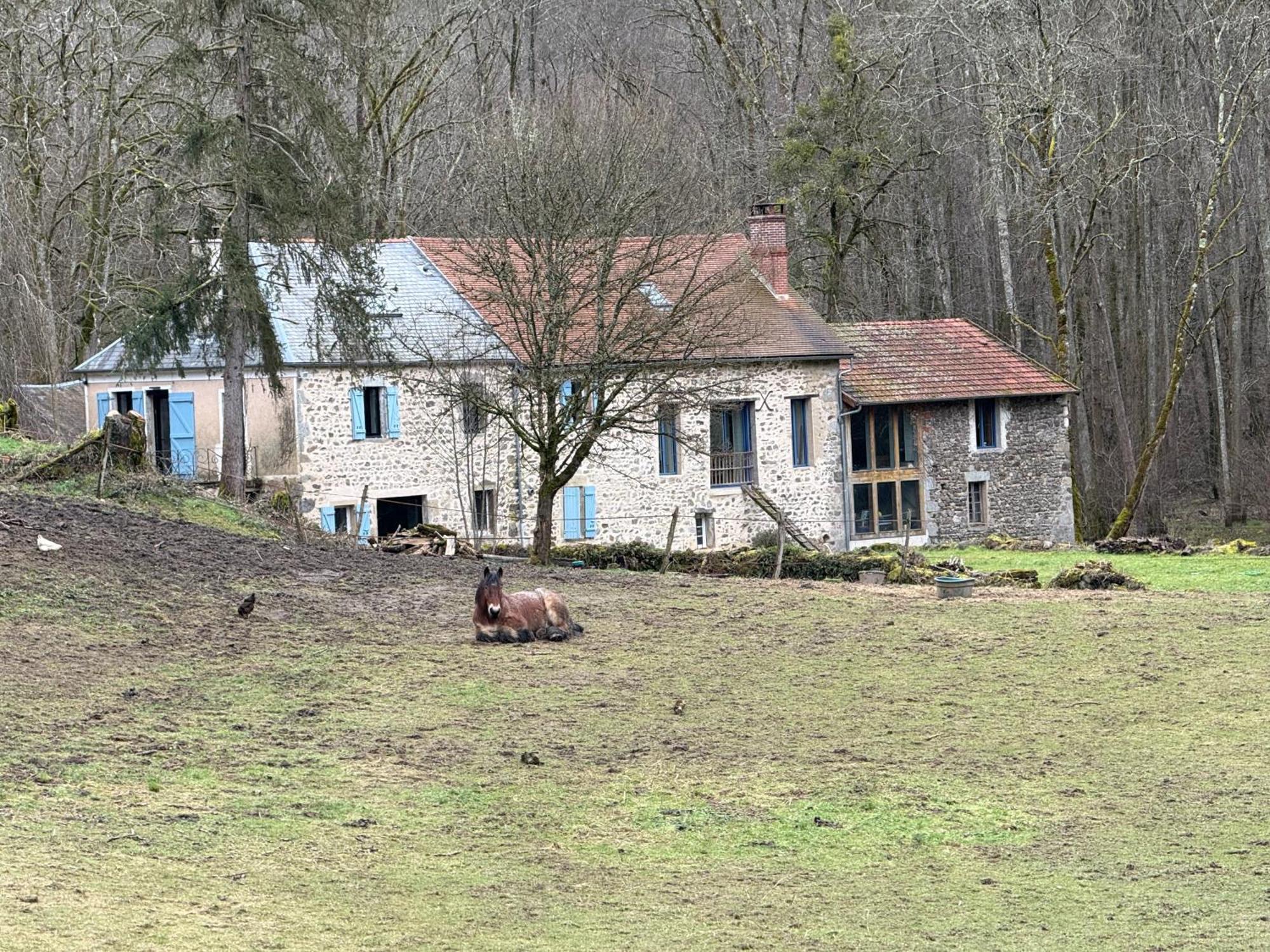 Gite De La Fontaine Saint-Andre-en-Morvan Exterior foto